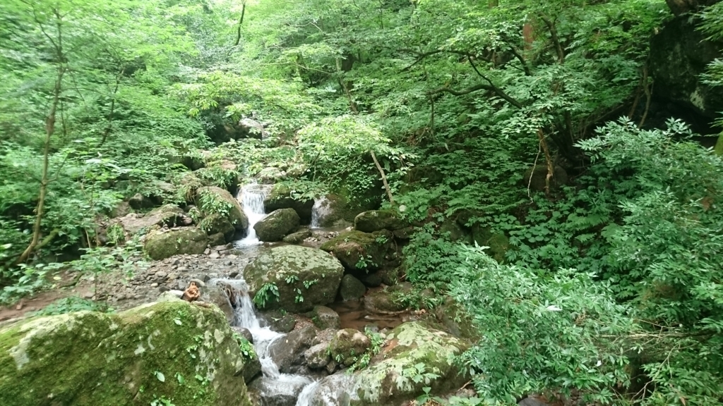 三仏寺投入れ堂への登山道