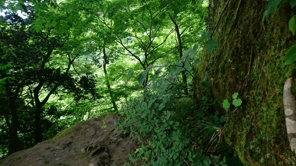 三仏寺投入れ堂への登山道