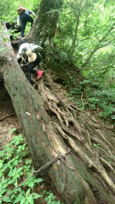三仏寺投入れ堂への登山道