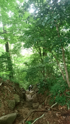 三仏寺投入れ堂への登山道
