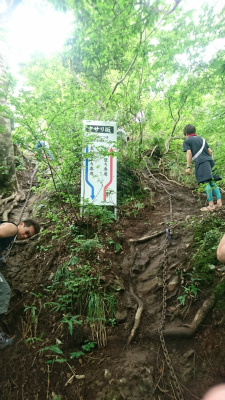 三仏寺投入れ堂への登山道
