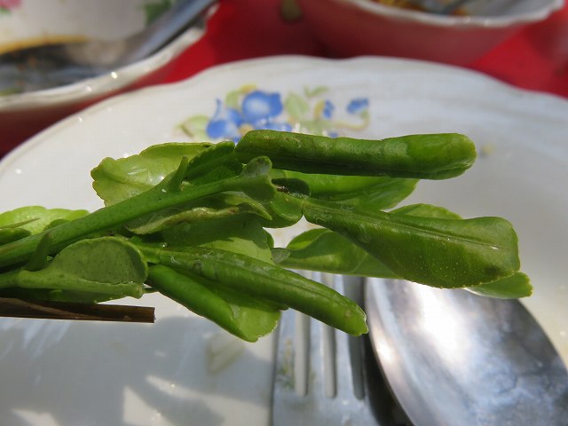 f:id:komadakoma:20180305145121j:plain f:id:komadakoma:20180305145121j:plain