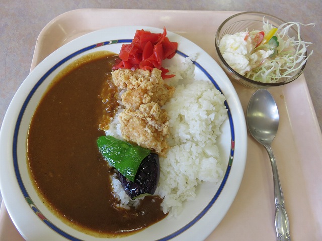 浜名湖競艇場2階レストラン「ピット・イン」の本日のおすすめカレー