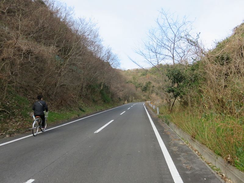本島の山の中を自転車で走るようす