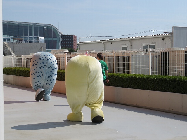 全24場の競艇場のマスコットキャラクター画像 写真付きまとめ こまだこまのロバの耳ブログ