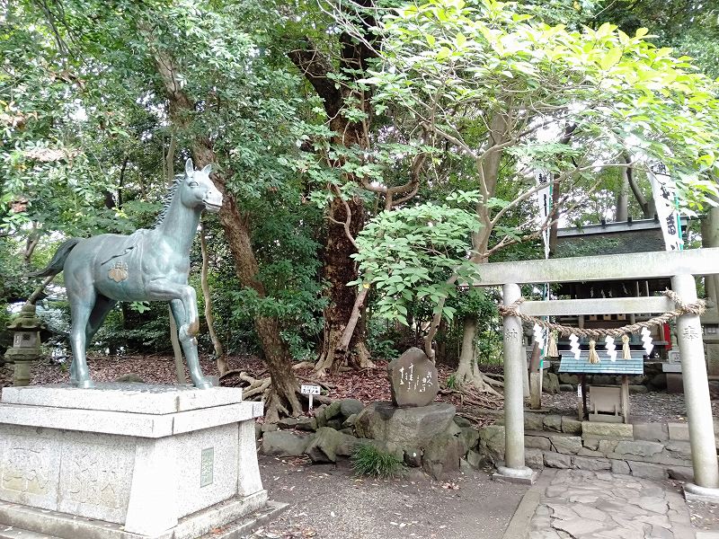 蒲郡の竹島にある八百富神社境内
