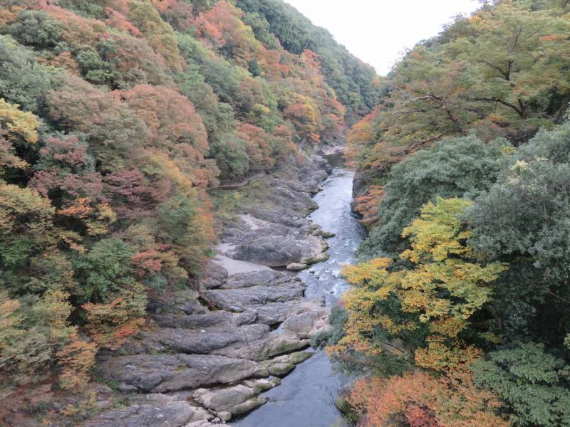 高津戸峡のはねたき橋の上からの景色
