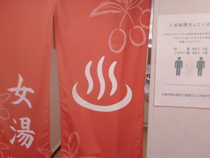 オーシャン東九フェリー「りつりん」の女湯