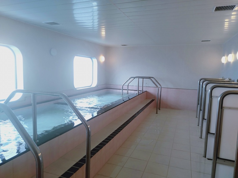 オーシャン東九フェリー「りつりん」の女湯の洗い場と湯舟