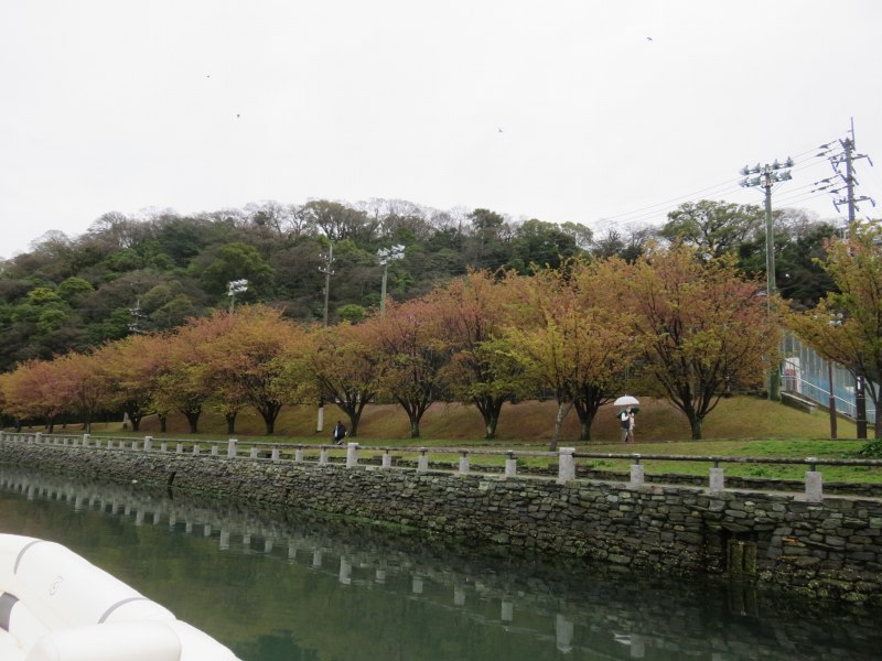 徳島市のひょうたん島クルーズの船内から見える景色