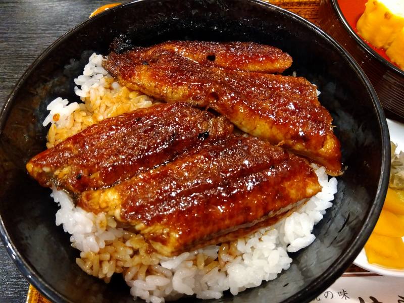 津・大門の鰻屋『はし家』のうな丼