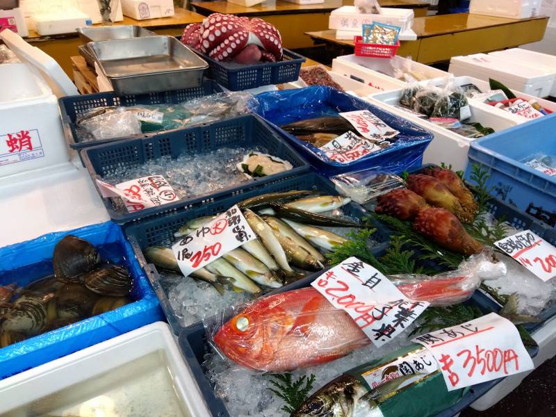 大東京綜合卸売センター（府中市場）の魚屋