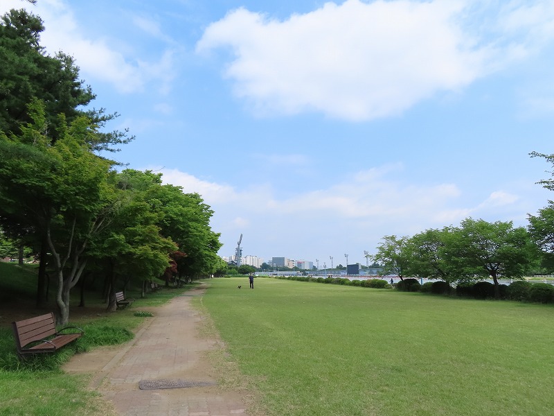 ミサ競艇公園