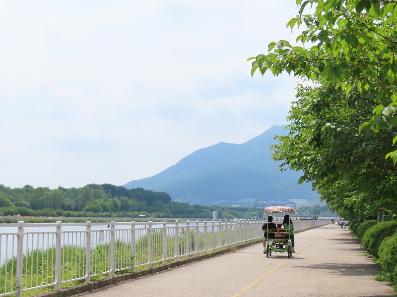 ミサ競艇公園